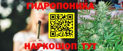 соль ск Камышлов