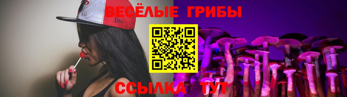 Галлюциногенные грибы MAGIC MUSHROOMS  Вход с VPN  что такое   Киржач 